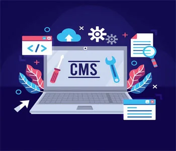 CMS Development in infotechpress
